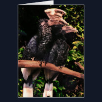 Hornbills In Love cards by iggymak Hornbills In Love cards