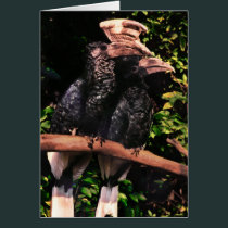 Hornbills In Love cards