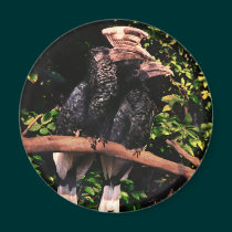 Hornbills In Love magnets