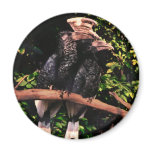 Hornbills In Love Magnets