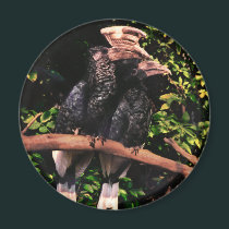 Hornbills In Love magnets