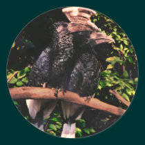 Hornbills In Love stickers