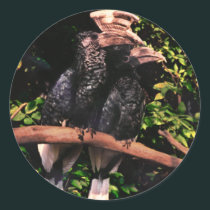 Hornbills In Love stickers