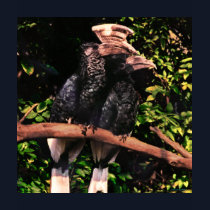 Hornbills In Love t-shirts by iggymak Hornbills In Love t-shirts