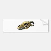 Horned Dragon Skull Bumper Sticker