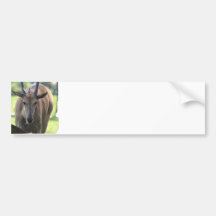 Horned Eland Bumper Sticker