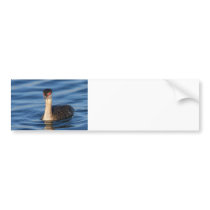 Horned Grebe Bumper Stickers
