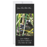 Horned Grebe Nesting Rack Card Template
