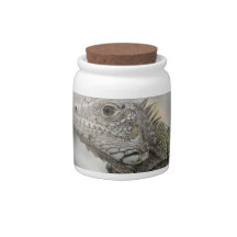 Horned Iguana Candy Jar