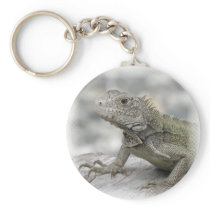 Horned Iguana Keychain