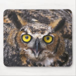 Horned Owl Mouse Pads