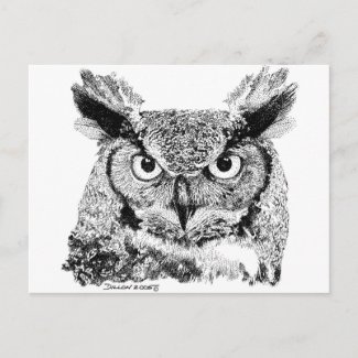 Horned Owl Post Card
