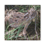 horned toad fridge magnet