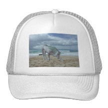 Horned Unicorn Baseball Hat