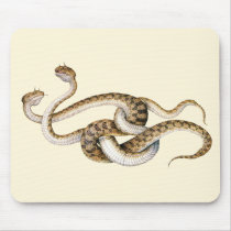 Horned Vipers mousepads by arthistory Horned Vipers mousepads
