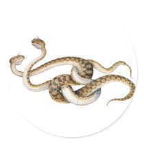 Horned Vipers stickers by arthistory Horned Vipers stickers