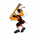 Hornet Ball Player