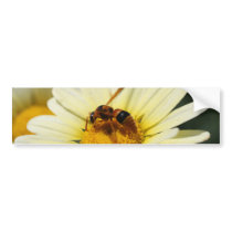 Hornet Bumper Sticker