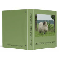 Hornless sheep binder