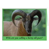 Horny old goat Card by BlackTiePictures Horny old goat Card