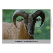 Horny Old Goat cards by BlackTiePictures Horny Old Goat cards