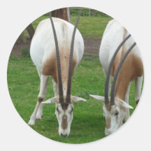 horny pair round stickers