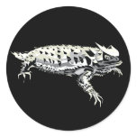 Horny Toad Stickers