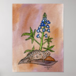 Horny Toad with Bluebonnet Poster