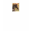 horse0, Here is one girl who would rather ride ... t-shirts