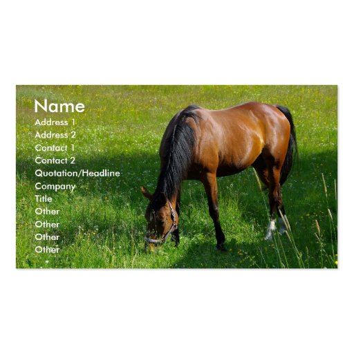 Horse #1 business card (front side)