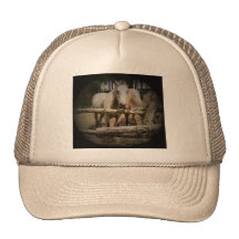 HORSE 1 Hat