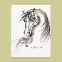 Horse 1 postcards
