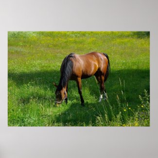 Horse #1 Print print