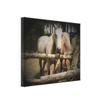 Horse 1 Stretched Canvas Print
