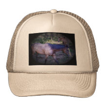 Horse 2 Hat