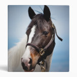 Horse 3 Ring Binder