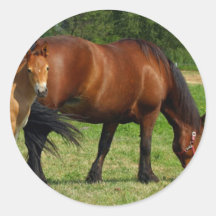 horse-47 stickers