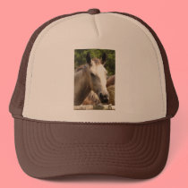 Horse 4,Hat by dtp455 Horse 4,Hat