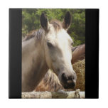 Horse 4 Tile tiles
