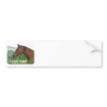 Horse 9A81D-13 bumper stickers