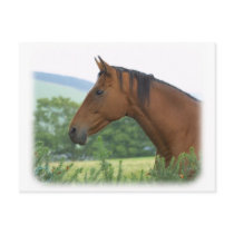 Horse 9A81D-13 postcards