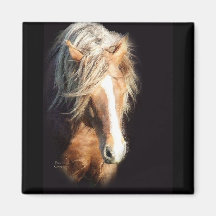 Horse Against Black Refrigerator Magnets