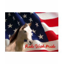 Horse American Flag Ladies T-Shirt