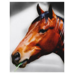 Horse and a blade of grass flyers