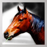 Horse and a blade of grass posters