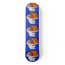 Horse and Angel skateboards