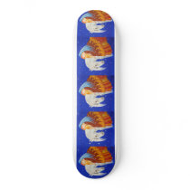 Horse and Angel skateboards
