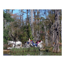 Horse and Buggy at Cypress Gardens posters by shadowgold Horse and Buggy at Cypress Gardens posters