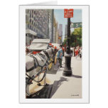 HORSE AND BUGGY cards