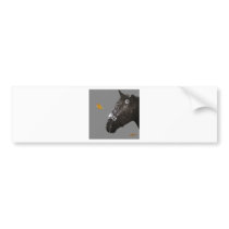 Horse and butterfly bumper stickers